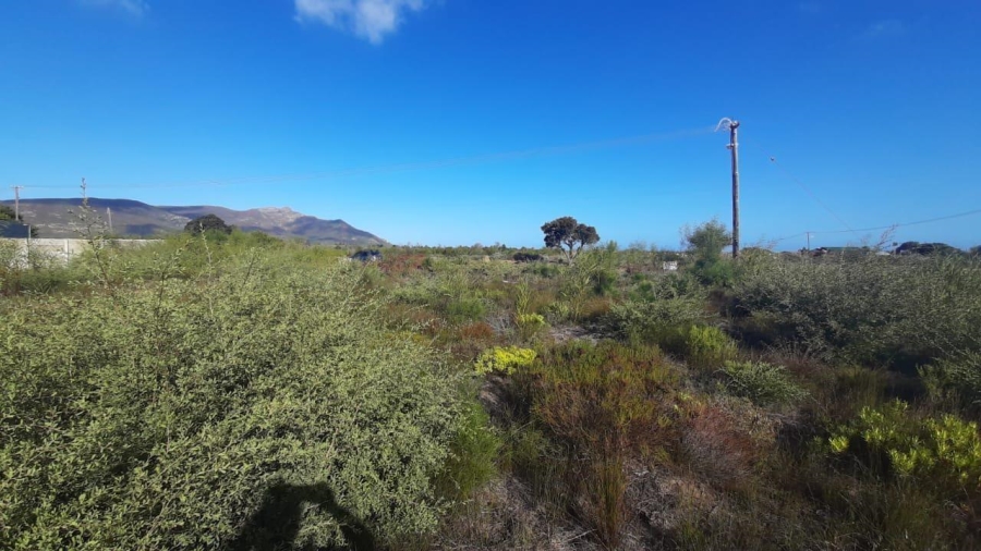 0 Bedroom Property for Sale in Fisherhaven Western Cape